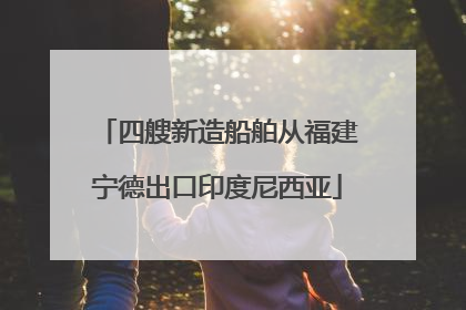 四艘新造船舶从福建宁德出口印度尼西亚