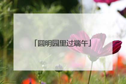 圆明园里过端午