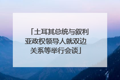 土耳其总统与叙利亚政权领导人就双边关系等举行会谈