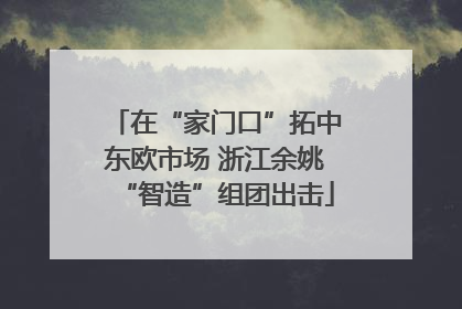在“家门口”拓中东欧市场 浙江余姚“智造”组团出击