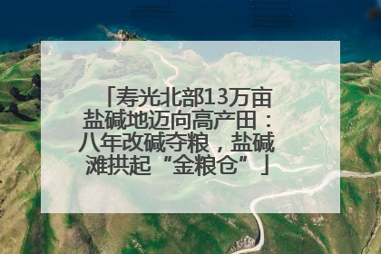 寿光北部13万亩盐碱地迈向高产田：八年改碱夺粮，盐碱滩拱起“金粮仓”