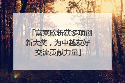 富莱欣斩获多项创新大奖，为中越友好交流贡献力量