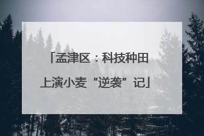 孟津区：科技种田 上演小麦“逆袭”记