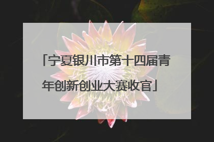 宁夏银川市第十四届青年创新创业大赛收官
