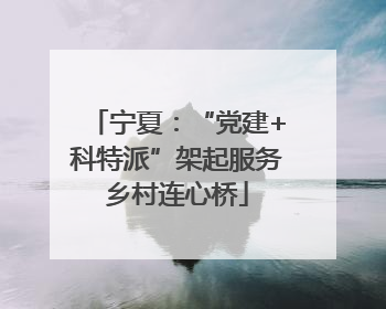 宁夏：“党建+科特派”架起服务乡村连心桥