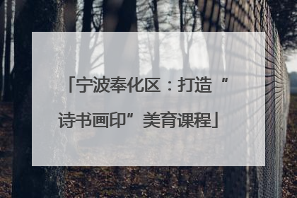 宁波奉化区：打造“诗书画印”美育课程
