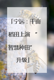 宁远：千亩稻田上演 “智慧种田” 升级
