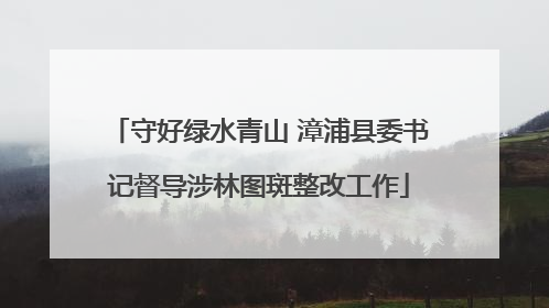守好绿水青山 漳浦县委书记督导涉林图斑整改工作