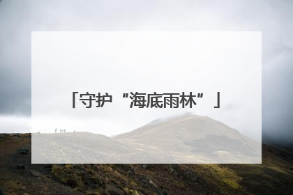守护“海底雨林”