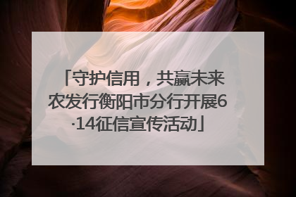 守护信用，共赢未来 农发行衡阳市分行开展6·14征信宣传活动