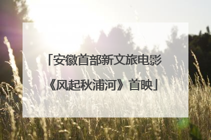 安徽首部新文旅电影《风起秋浦河》首映