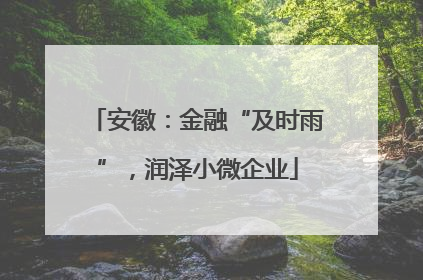 安徽：金融“及时雨”，润泽小微企业