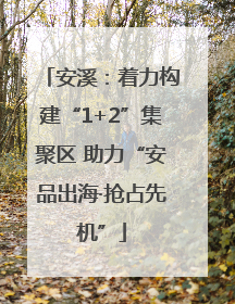 安溪：着力构建“1+2”集聚区 助力“安品出海·抢占先机”