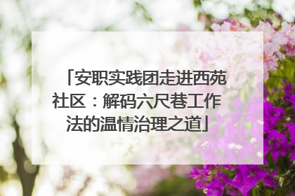 安职实践团走进西苑社区：解码六尺巷工作法的温情治理之道