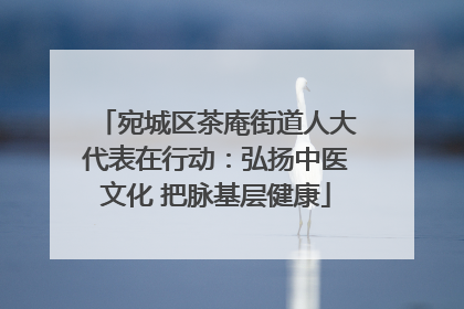宛城区茶庵街道人大代表在行动：弘扬中医文化 把脉基层健康