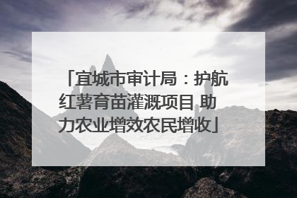 宜城市审计局：护航红薯育苗灌溉项目 助力农业增效农民增收