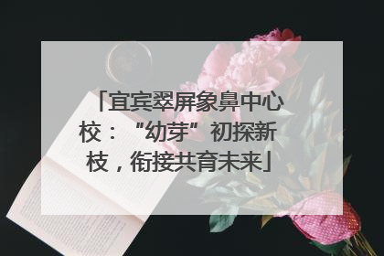 宜宾翠屏象鼻中心校：“幼芽”初探新枝，衔接共育未来