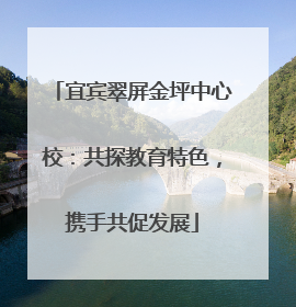 宜宾翠屏金坪中心校：共探教育特色，携手共促发展