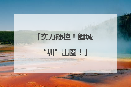 实力硬控！鲤城“圳”出圈！