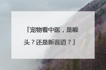 宠物看中医，是噱头？还是新赛道？