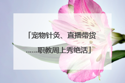 宠物针灸、直播带货……职教周上秀绝活