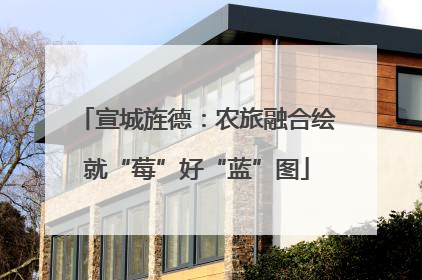 宣城旌德：农旅融合绘就“莓”好“蓝”图