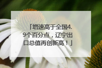 增速高于全国4.9个百分点，辽宁出口总值再创新高！