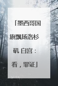 墨西哥国旗飘扬洛杉矶 白宫：看，罪证