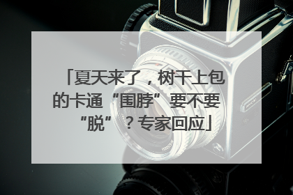 夏天来了，树干上包的卡通“围脖”要不要“脱”？专家回应