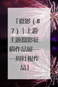 夏影（87）｜上游主题摄影征稿作品展——周社根作品