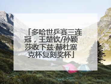 多哈世乒赛三连冠，王楚钦/孙颖莎收下兹·赫杜塞克杯复刻奖杯