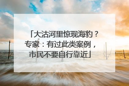 大沽河里惊现海豹？专家：有过此类案例，市民不要自行靠近