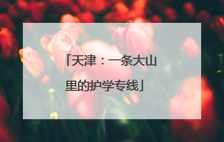 天津：一条大山里的护学专线