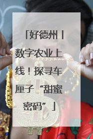 好德州丨数字农业上线！探寻车厘子“甜蜜密码”