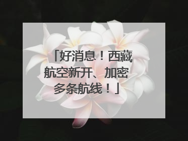 好消息！西藏航空新开、加密多条航线！