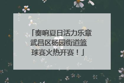 奏响夏日活力乐章 武昌区杨园街道篮球赛火热开赛！