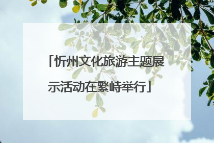 忻州文化旅游主题展示活动在繁峙举行