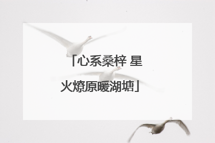 心系桑梓 星火燎原暖湖塘