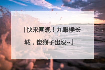 快来围观！九眼楼长城，傻狍子出没~