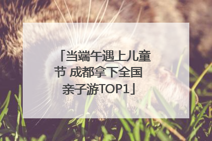 当端午遇上儿童节 成都拿下全国亲子游TOP1