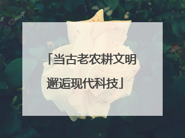 当古老农耕文明邂逅现代科技