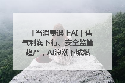 当消费遇上AI｜售气利润下行、安全监管趋严，AI浪潮下城燃企业如何破局