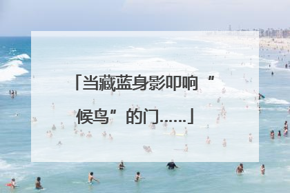 当藏蓝身影叩响“候鸟”的门……