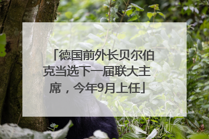 德国前外长贝尔伯克当选下一届联大主席，今年9月上任