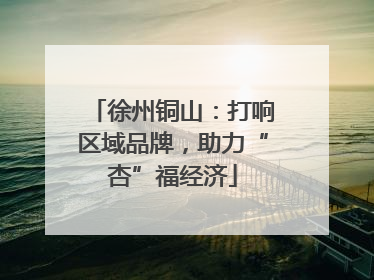 徐州铜山：打响区域品牌，助力“杏”福经济