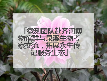 微刻团队赴齐河博物馆群与泉溪生物考察交流，拓展永生传记服务生态