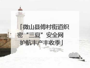 微山县傅村街道织密“三夏”安全网 护航丰产丰收季