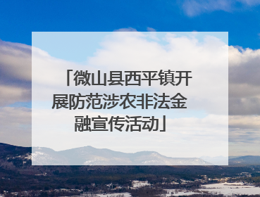 微山县西平镇开展防范涉农非法金融宣传活动