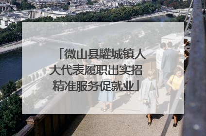 微山县驩城镇人大代表履职出实招精准服务促就业