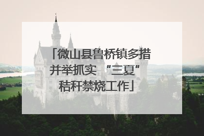 微山县鲁桥镇多措并举抓实 “三夏” 秸秆禁烧工作